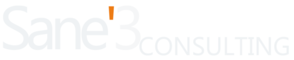sane3-consulting.com