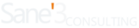 Sane3 Consulting